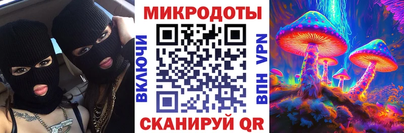Псилоцибиновые грибы Magic Shrooms Балтийск