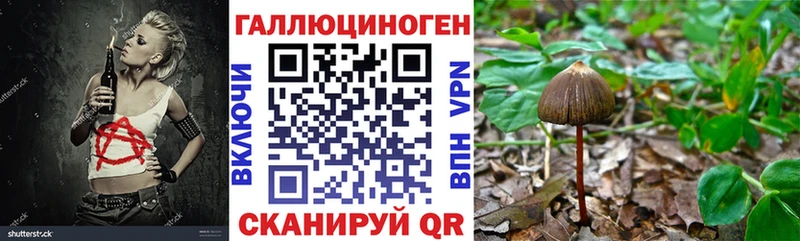 Псилоцибиновые грибы прущие грибы  blacksprut ссылки  Балтийск 