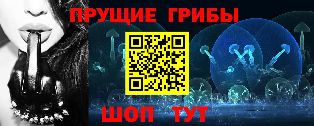 Псилоцибиновые грибы мицелий  Псилоцибиновые грибы Psilocybine cubensis  Балтийск  Вход с VPN 