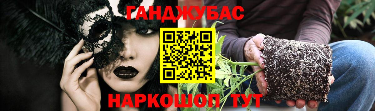 Бошки марихуана конопля  Бошки марихуана конопля  Бошки Шишки гибрид  Вход с VPN  Балтийск  Шишки марихуана сатива 